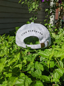 Liveelev8ted Distressed dad hat